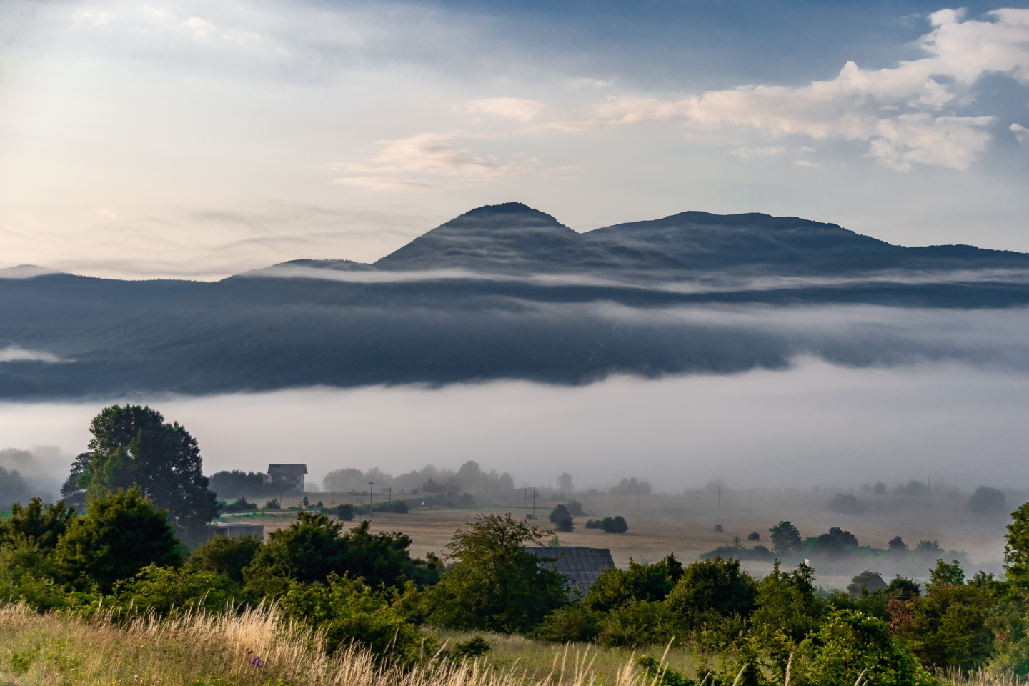 Fog Curtains in Early Morning