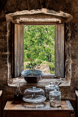 Window In Olive Oil Museum